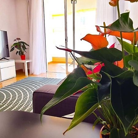 Apartamento Radazul Sea View Exteriör bild